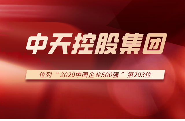 东升国际集团列2020中国企业500强第203位！
